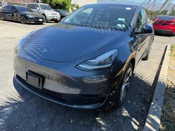 TESLA MODEL Y 2021 5YJYGDEE4MF131238 image